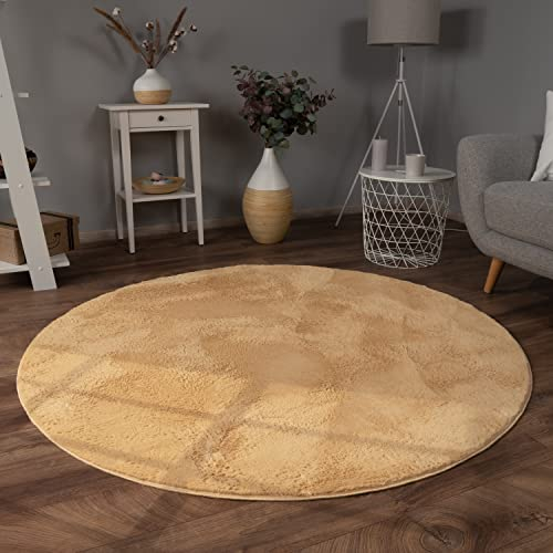 Paco Home Teppich Wohnzimmer Kunstfell weich waschbar modern elegant pflegeleicht Felloptik Uni Seidenglanz flauschig Kurzflor, Grösse:200 cm Rund, Farbe:Gelb