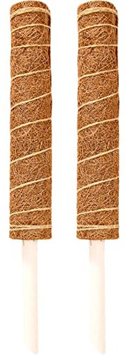 Yusheng 23,62 pollici Plant Moss Pole, Bacchette per interni con elevata capacità di assorbimento dell'umidità, ideale per piante rampicanti