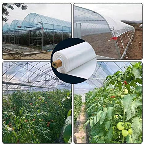 WIGING Film Plastique De Serre Transparent, Film Végétal De Serre Imperméable Facile À Installer, Couvercle en Polyéthylène De Jardin Résistant À La Déchirure((WxL) 10x12m)
