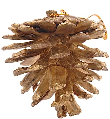 PRETYZOOM Weihnachtsdekoration hängende Weihnachtsdekorationen Weihnachten Tannenzapfen Christbaumschmuck hängen en christbaumkugeln Kiefernzapfen Vase Füllstoff Ornament Anhänger