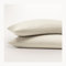Seralino Satin Kissenbezug 50x50 Beige (2er Set) 100% Bio Baumwolle Oeko-Tex Zertifiziert, atmungsaktiv, Kissenhülle auch für Sofakissen 50x50 cm verwendbar, Kissenbezüge 50x50 mit Reißverschluss