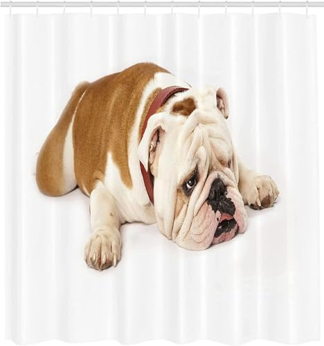 TACOKI 3D Duschvorhang 240x200 Mops Duschvorhang Mops Bad Vorhang Antischimmel Wasserdicht Duschvorhänge Textil Polyester für Badezimmer Badewannen mit 12 Haken A7062