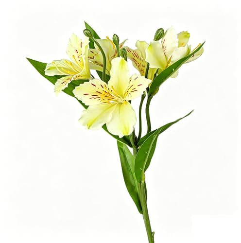 Ramo Di Alstroemeria Artificiale Giglio Peruviano Fiore Finto Stelo Floreale Realistico for Decorazione Casa Matrimonio Bouquet Vaso Centrotavola E Arredo Interno(Yellow)