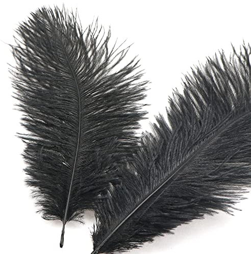 50 Stück 15-20cm Natürliche Straußenfedern,Strauß Feder zum Basteln,Bastel Federn für DIY Traumfänger Zubehör,Heimdekoration,KostüMe,Tischdeko Hochzeit Party Fest Hüte Kleidung Dekoration,Schwarz
