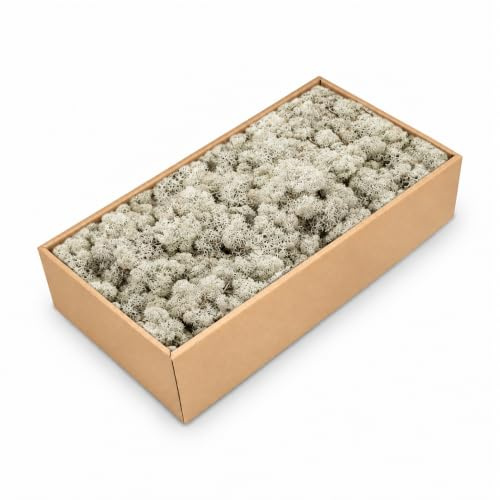 NaDeco Island-Moos 500g, echtes Moos in 30 Farben zur Wahl, fluffig & prall, Basteln Wand Deko Moss, für Moosbild Mooswand Moosplatten Kugelmoos Dekoration Ostern Weihnachten, Farbe:Grau
