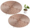 Protection pour Pot de Fleurs,Tianher 2 Pcs Grand Grillage pour Pots de Fleurs découpable avec des piquets Profonds,Couverture de Pot de Fleurs,Les Animaux domestiques,52cm (Brun)