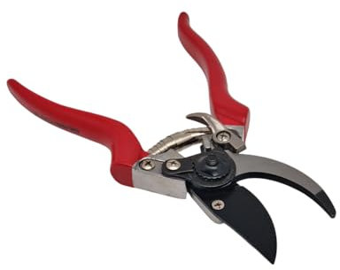 FAST WORLD SHOPPING ® Forbici Per Potare In Acciaio Cesoia Da Potatura Lama Da Taglio Bypass Forbice Giardiniere Pulire Tagliare Raccogliere Siepi Rami Foglie Frutti Verdura Manico Ergonomico