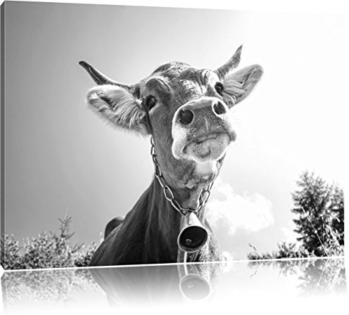Pixxprint Lustiges Portrait Einer Kuh Kunst B&W, Größe: 100x70cm, Leinwandbild, fertig gespannt, Wandbild, Dekoration, Kunstdruck, kein Poster