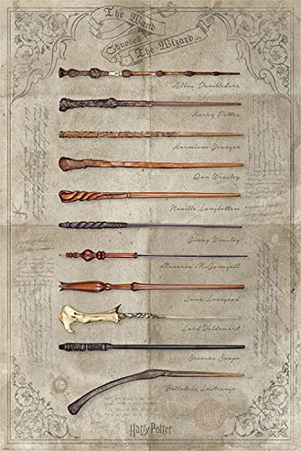 Harry Potter 1art1 Poster - The Wand Chooses The Wizard (91 x 61 cm)