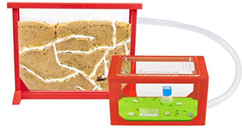 Anthouse - Natürliche Ameisenfarm aus Sand | 3D Rot Medium Set (Sandwich + Futterbox) | Inklusive Ameisenkolonie