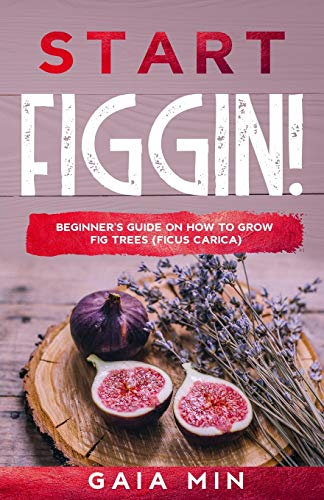 Start Figgin!: Beginner's Guide On How To Grow Fig Trees (Ficus carica)