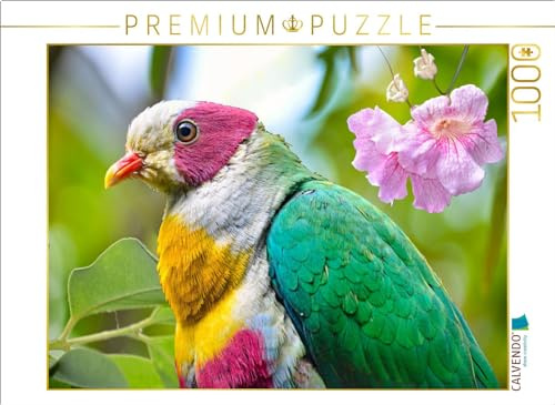 CALVENDO Puzzle Gelbbrustfruchttaube | 1000 Teile Lege-Größe 64 x 48 cm Foto-Puzzle für glückliche Stunden