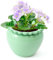 Tbpro Selbstbewässernder Blumentopf aus afrikanischem Veilchen, 16,5 x 11,7 x 10,2 cm, grüner Keramik-Topf, Wartung, Innenpflanze, selbstbewässernd, Pflanze, hohe Saugfähigkeit, innerer Blumentopf