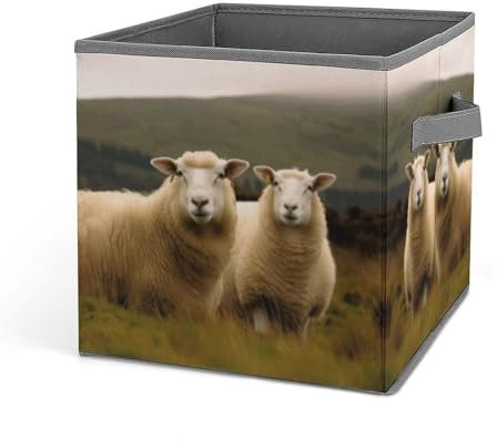LKHDS Cubes Aufbewahrungsbox, 2 weiße Schafe, faltbar, Kleideraufbewahrung mit Griff, Aufbewahrungsbehälter für Schrank und Regal, Schrankorganisation