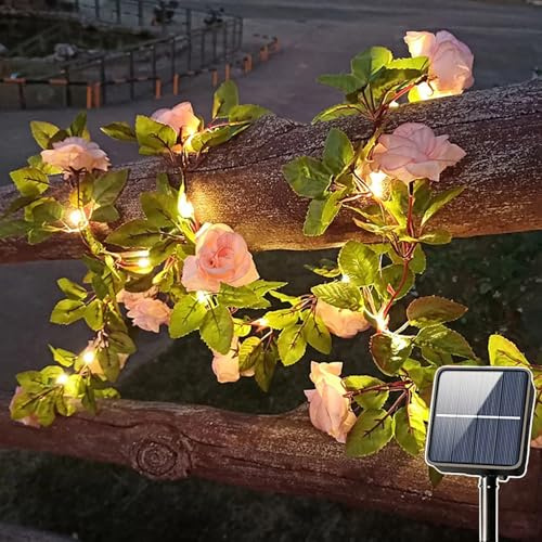 SUAVER Guirlande Lumineuse Solaire Fleur de Rose Décorative Exterieur Guirlande de Lierre Artificielles Étanche Lumière de corde Décor de jardin pour balcon,terrasse,clôture,mariage,fête (2m 20LED)