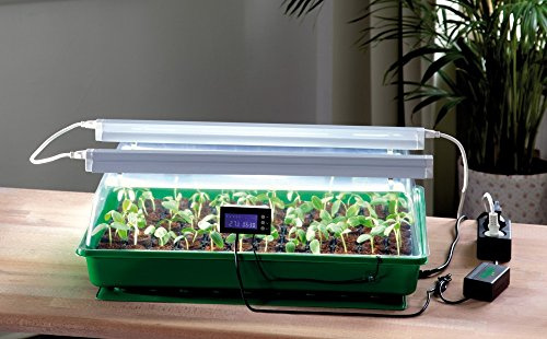 ROMBERG Zimmergewächshaus mit Zwei Lampen, Thermodog und Thermostat – Mini Gewächshaus Maximus Complete – 57 x 38 x 18 cm