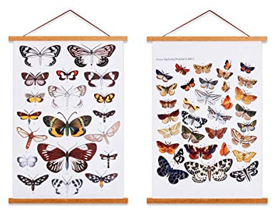 Ywlake A4 Posterleiste Posterschiene Posterleisten, Magnet Magnetische Holz Poster Aufhänger Halter Rahmen Leisten Bild Bilder Bilderrahmen Bilderleiste 21x30 20x30 20x45 (21cm, Teak, 2 Packungen)