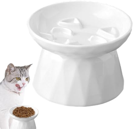 Youany Slow Feeder Cat Bowl, Ceramic Elevated Cat Dish, Anti-Vomiting, Slow Eating, White