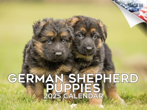 Kalender 2024 2025 Deutscher Schäferhund Welpen – Hunderasse Monatlicher Wandkalender – 30,5 x 45,7 cm offen – dickes Papier ohne Auslaufen – Geschenk – akademischer Lehrerplaner Kalender Organisieren