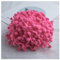 GreatRise Pompon-Borte Bunt Pom Poms Quaste Borte Spitzenband mit 1.2 cm Pompons Bommelborte Pomponband Quaste Trim Band für Basteln Nähen Kleidung Zuhause Dekorieren Rosa#2 5 Yard
