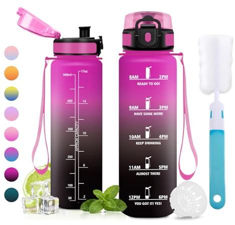 JAPORIA Borraccia 500ml, senza BPA, Borraccia con Filtro, a Prova di Perdite, Motivazionale, Bottiglia Acqua con Marcatori Temporali per Studenti, Ufficio, Sport, Palestra