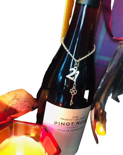 Birthday gift idea Wine Champagne Gin bottle charm 18TH 21ST 30TH 40TH 50TH 60TH Birthday Party Liquor label tag Birthday gift for friend Gift for Son Daughter Bottle bag idea