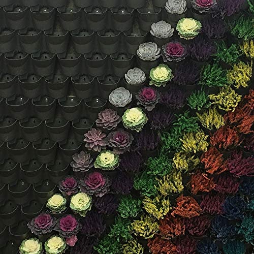 YouGarden - Wonder Wall Vertical Growing System - 4 tiers Wall Hanging Growing System for Gardens