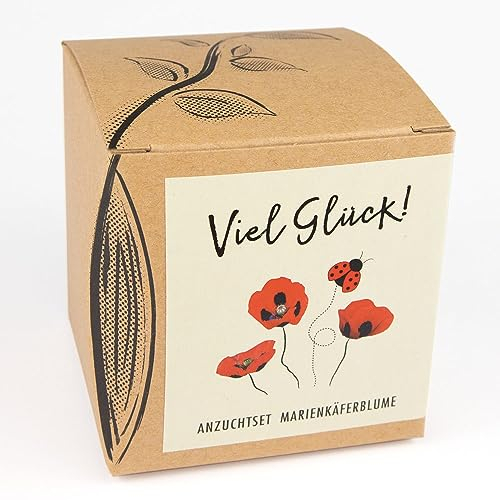 Set regalo per la coltivazione di fiori di coccinella con semi di semi di papavero, un'idea regalo portafortuna dalla forza naturale
