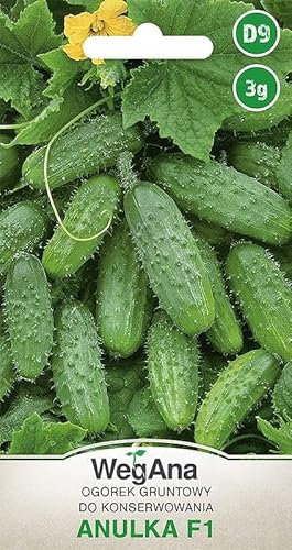 WegAna Cetriolo macinato Anulka F1 3g, Semi di ortaggi robusti Coltivazione di semi da balcone e giardino