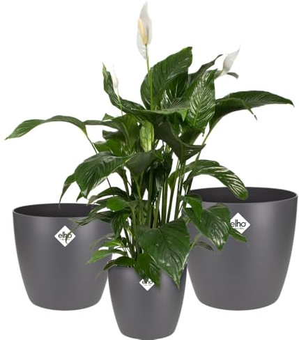 elho Brussels Rund - Blumentopf für Innen - 100% Recycelter Kunststoff - 3er Set - Ø 16, 18, 20 cm - Schwarz/Anthrazit