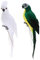 KESOTO 2 Stück Vögelchen Deko Ara Papagei Vogel Figur der Hingucker