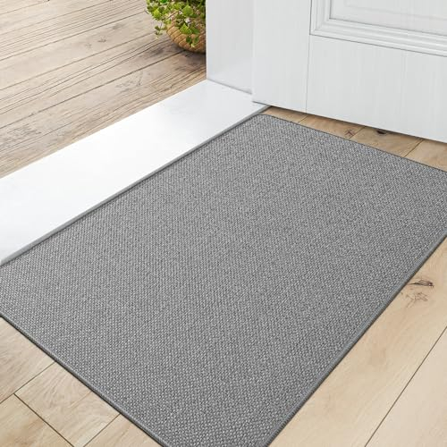 DEXI Fußmatte Innen 44 x 75cm, rutschfest Schmutzfangmatte, waschbar Fussmatte, Dünne Eingangstürmatte, Strapazierfähige Türmatte für Innenbereich, Hellgrau