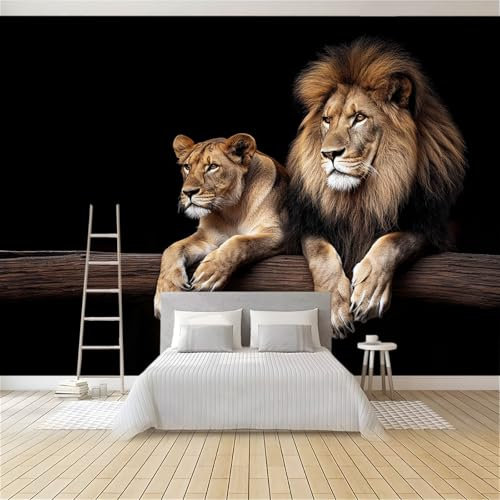 Fototapete Männlicher Löwe Und Löwin 300x210 cm 3D Vliestapete Wandbild, Mustertapete Moderne Wandtapete, Wohnzimmer Schlafzimmer Kinderzimmer Büro Flur Wanddeko
