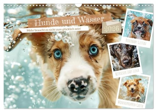 Hunde und Wasser (Wandkalender 2026 DIN A3 quer), CALVENDO Monatskalender: Herrliches Chaos und glückliches Gebell (CALVENDO Tiere)