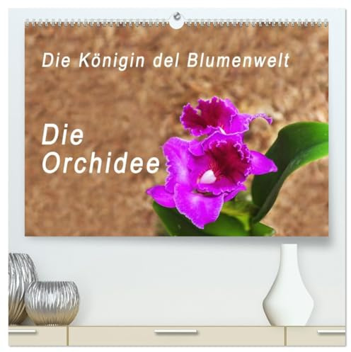 Die Königin der Blumenwelt, die Orchidee (hochwertiger Premium Wandkalender 2026 DIN A2 quer), Kunstdruck in Hochglanz: Bilder der Orchideen Weltausstellung in Guayaquil, Ecuador (CALVENDO Natur)