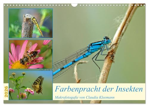 Farbenpracht der Insekten (Wandkalender 2026 DIN A3 quer), CALVENDO Monatskalender: Makroaufnahemen verschiedener Insekten verzaubern mit ihrer Farbenpracht (CALVENDO Tiere)
