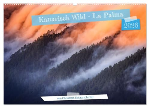 Kanarisch Wild - La Palma (Wandkalender 2026 DIN A2 quer), CALVENDO Monatskalender