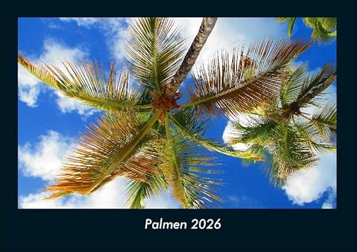 Palmen 2026 Fotokalender DIN A4: Monatskalender mit Bild-Motiven aus Fauna und Flora, Natur, Blumen und Pflanzen