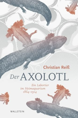 Der Axolotl: Ein Labortier im Heimaquarium 1864 -1914