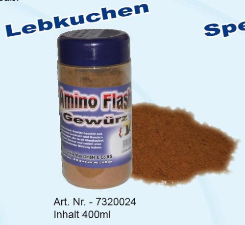 FTM Amino Flash Gewürz Lebkuchen 400ml Dose