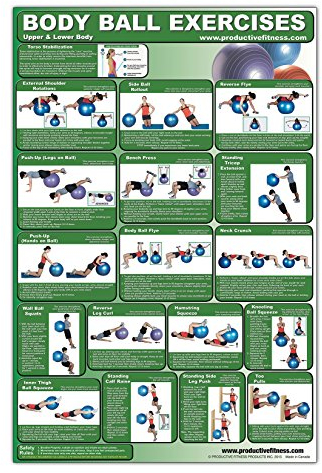 Laminated Fitness Ball Poster - Upper & Lower Body Exercises - Created by University Accredited Fitness Experts - Stability Ball Exercises for Legs ... - Tone and Tighten Arms, Chest and Back