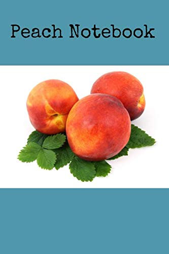 Peach Notebook: Perfect for Everybody, Drawing and Writing (110 Pages, Blank, 6 x 9)(Fruity Notebooks) (Fruits, Band 37)