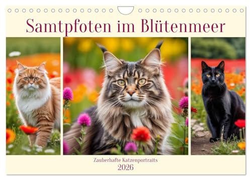 Samtpfoten im Blütenmeer (Wandkalender 2026 DIN A4 quer), CALVENDO Monatskalender: Zauberhafte Katzenportraits (CALVENDO Tiere)
