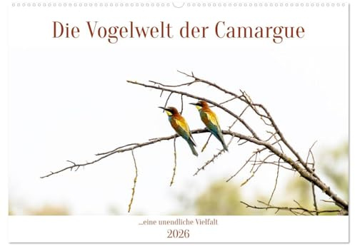 Die Vogelwelt der Camargue (Wandkalender 2026 DIN A2 quer), CALVENDO Monatskalender: Fasziniert und erstaunt ist man von der Vielfältigkeit der Vögel in der Camargue (CALVENDO Tiere)