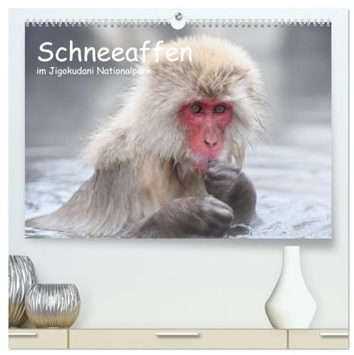 Schneeaffen im Jigokudani Nationalpark (hochwertiger Premium Wandkalender 2026 DIN A2 quer), Kunstdruck in Hochglanz: Wunderschöne Portraitaufnahmen dieser faszinierenden Affenart (CALVENDO Tiere)