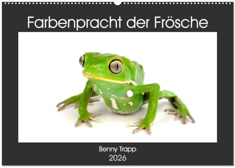 Farbenpracht der Frösche (Wandkalender 2026 DIN A2 quer), CALVENDO Monatskalender: Bunte Frösche aus aller Welt (CALVENDO Tiere)