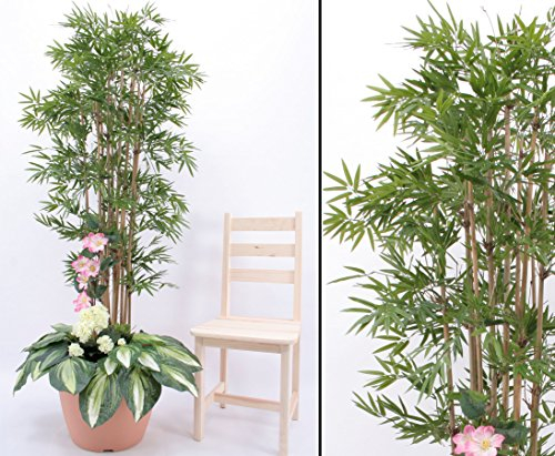 Bambus Kunstpflanzen Arrangement mit weißen Geranien, Höhe 210cm - Kunstpflanze Kunstbaum künstliche Bäume Kunstbäume Gummibaum Kunstoffpflanzen Dekopflanzen Textilpflanzen Textilbäume Pflanzen aus Textil Kunststoffpflanzen Plastikpflanze Kunstpflanzenbaum Kunstblumen Deko Blumen --> großes Kunstpflanzen Sortiment