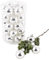 Dadeldo Living & Lifestyle Weihnachtskugel Premium 30er Set Glas 4cm Xmas Baumschmuck (Silber)