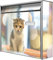 banjado® Burg-Wächter® Briefkasten mit Motiv Kleine Katze/Briefkasten ohne Zeitungsfach 32x36x10 cm groß/Briefkasten mit Namensschild A4 Einwurf inkl. Montagematerial & 2 Schlüsseln