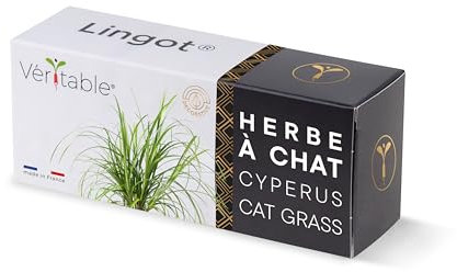 Lingot® Herbe à Chat Cyperus - Compatible Potager d'Intérieur Véritable® et Exky® - Recharge prête à l'emploi - Substrat avec Graines Intégrées…